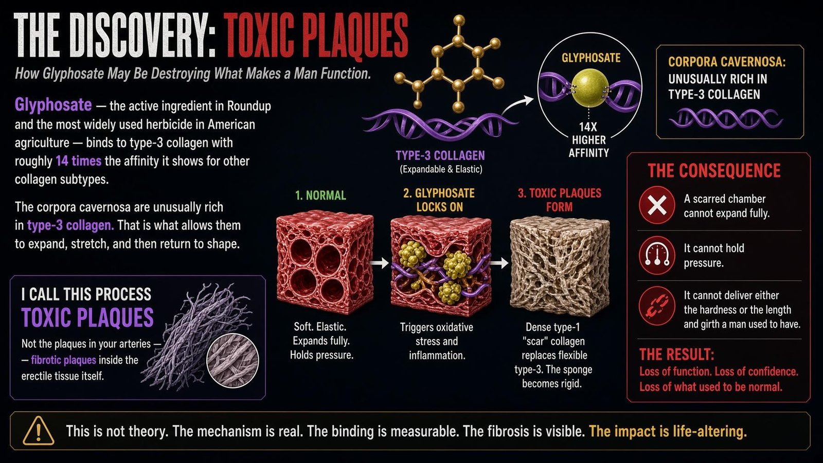 Toxic Plaques infographic