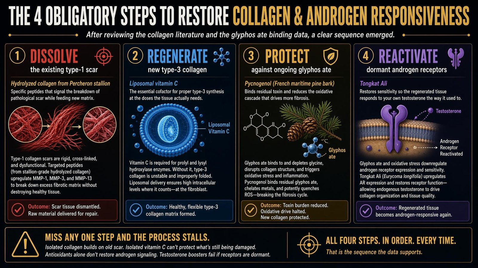 Four-step protocol infographic